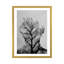 « tree of life » par andreas lie-impression sur impression-49900051-49900057