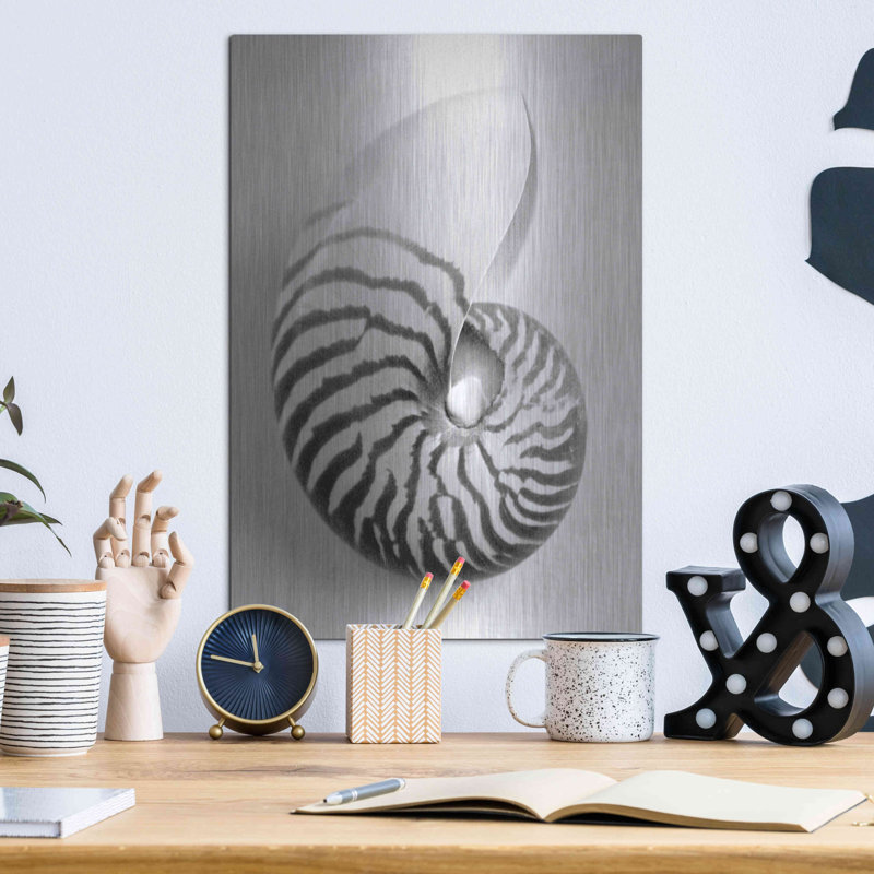 "Nautilus 2" par Debra Van Swearingen, H 16 po x l 12 po