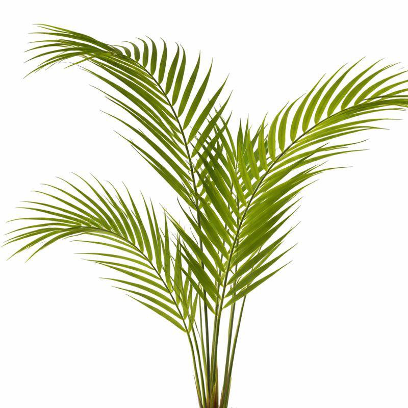 Anneloes 70cm Faux Palm Tree in Pot Liner