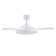Levine 48'' Ceiling Fan with LED Lights
