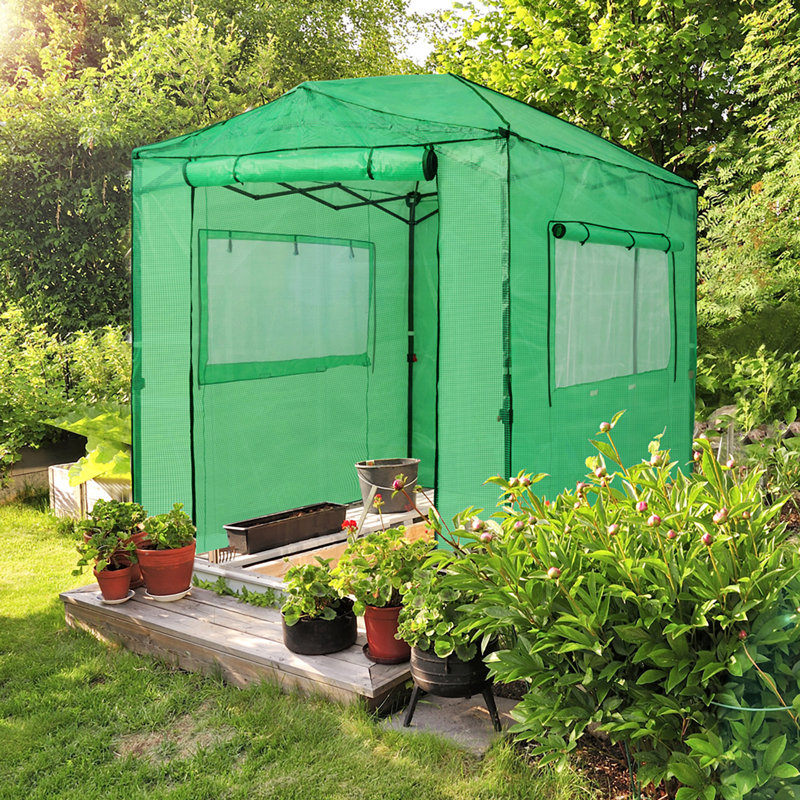Pop Up Greenhouses Pop Up 8' W x 6' D Hobby Greenhouse, Clear/Green
