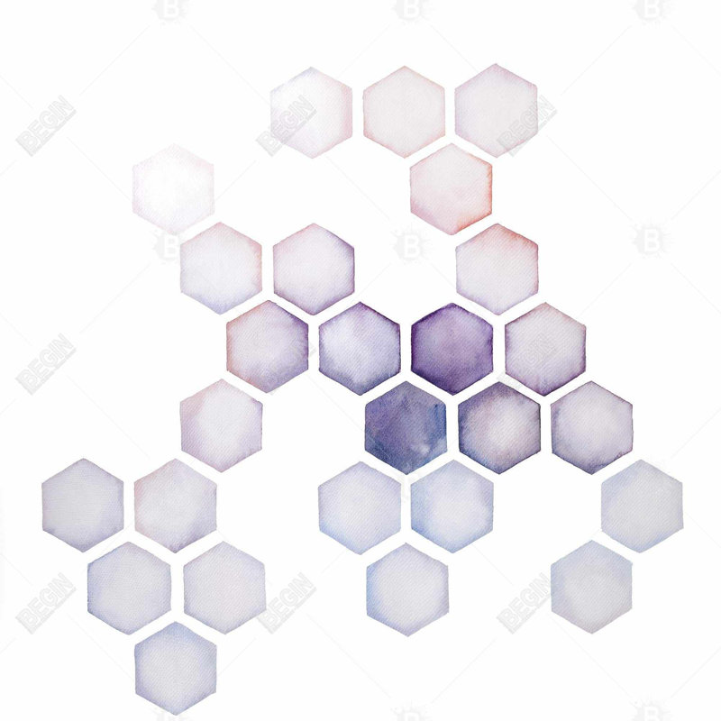 " Alveoli "