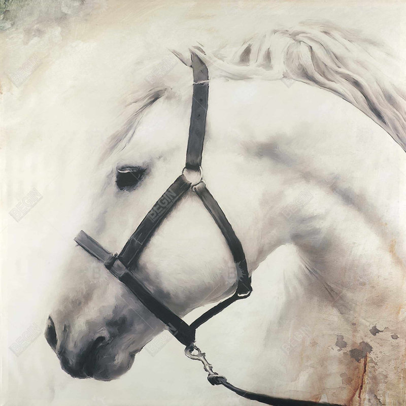 "Darius le cheval blanc", H 24 po x l 24 po
