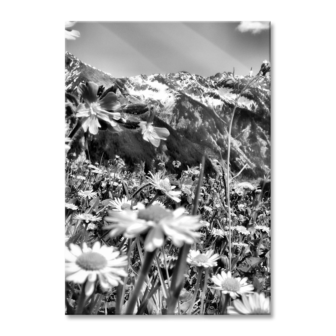 Glasbild Schöne Alpenblumenwiese