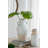 Two Handled Flower Vase-1848039772