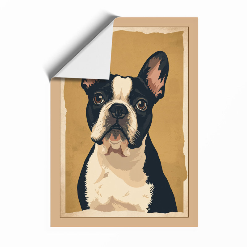 Bold Boston Terrier Modern - Framed Print, Unframed, A1 - 84.1 x 59.4 cm