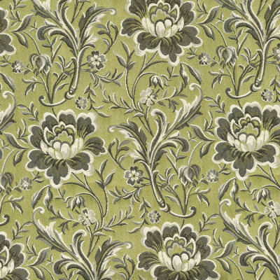 Tissu Régime