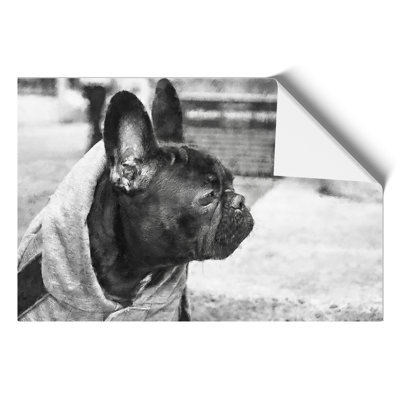 French Bulldog Painting - Frameless Print