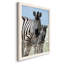 «Family of Namibia» - Reproduction d'un seul cadre photo sur toile-88381050-88381051