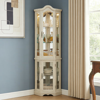 Lighted Tempered Glass Display Cabinet with Adjustable Tempered Glass Shelves by Winston Porter