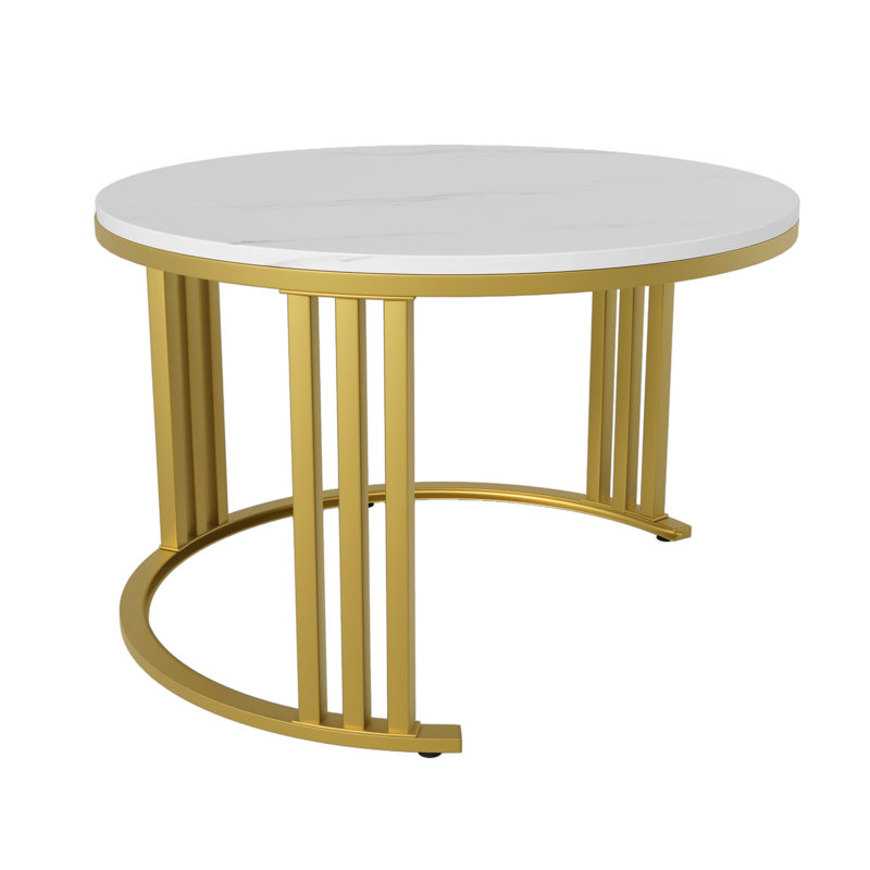 Agatia Frame Coffee Table with Storage, White, Gold/White