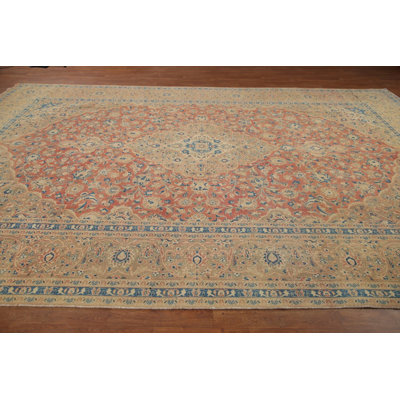 Traditional Area Rug 10x14