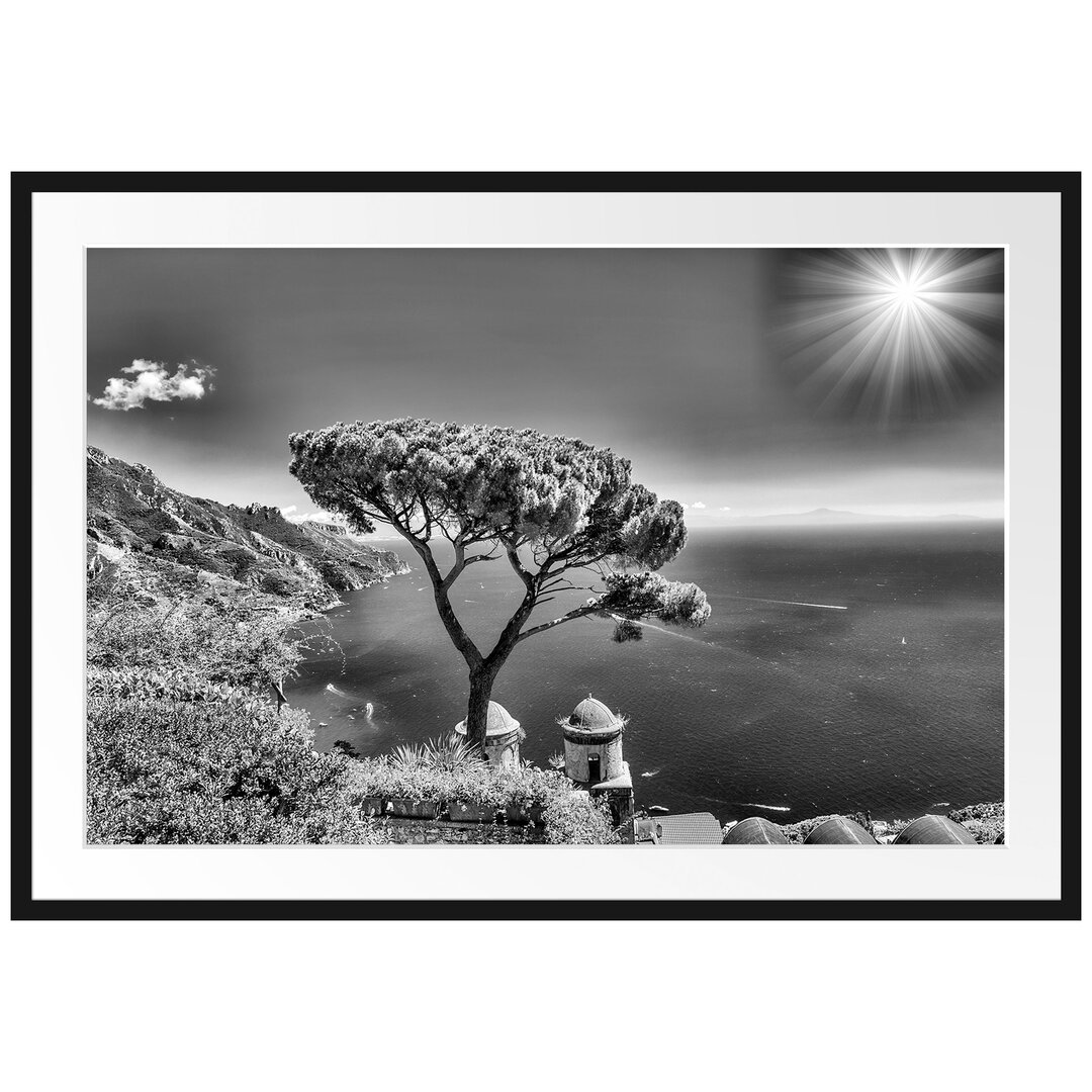 Gerahmtes Poster Baum am blauen Meer