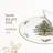 Spode – Christmas Tree – Christmas Tree Cake Plate and Server - Multicolored, Set of 2