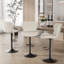 Adjustable Height Counter Stool with Metal Frame-243967672-243967685