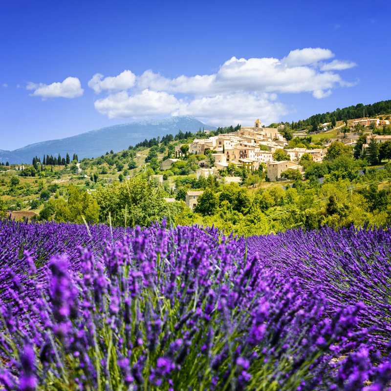 Lavender Field And Village, France - Wrapped Canvas Print, 30cm H x 30cm W x 3.8 cm D