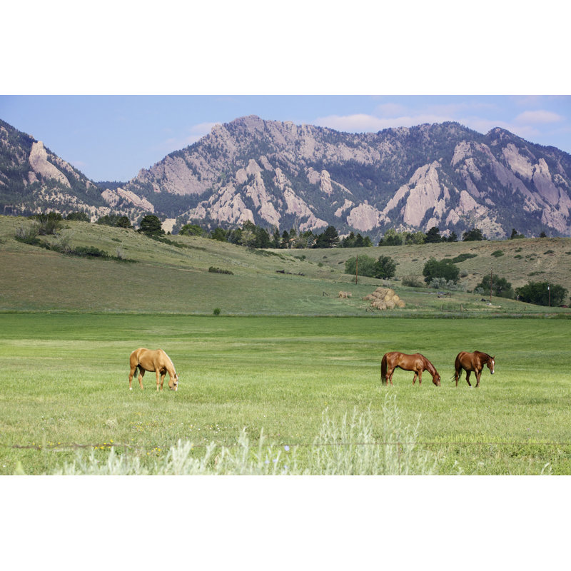 Grazing Horses - Wrapped Canvas Print, 61cm H x 91cm W