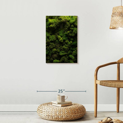 " Thick Moss "