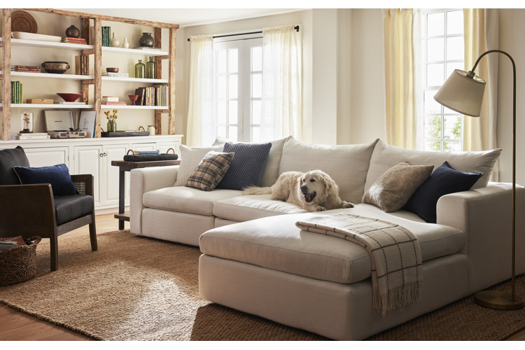 Transitional modern living room with a low-profile cream colored pet-friendly sofa with a golden retriever on it