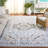 Deseret Performance Machine Washable Oriental Rug-671229132