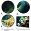 Décoration murale surréaliste poisson sous-marin I - papillon multipanel