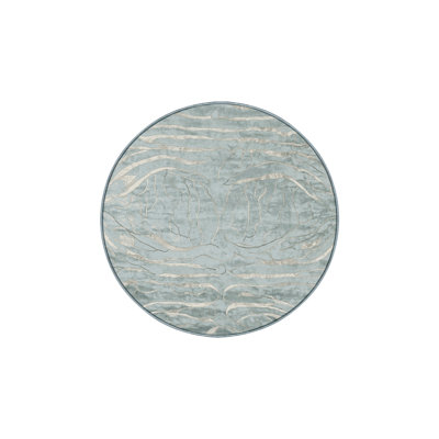 Machine Washable Blue Area Rug