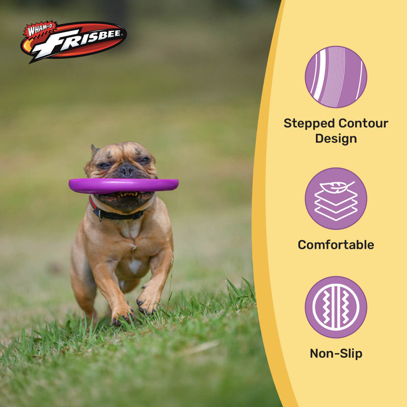 Wham-O Frisbee Cool Flyer Flying Disc, 9.95 Inch Lightweight Toy, 130g, Purple