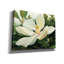 «Majestic Magnolia» par Julia Purinton, art mural sur toile-2086718909
