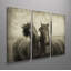 Reproduction d’art graphique sur toile « Horses Don’t Whisper »-3 pièces-705074139