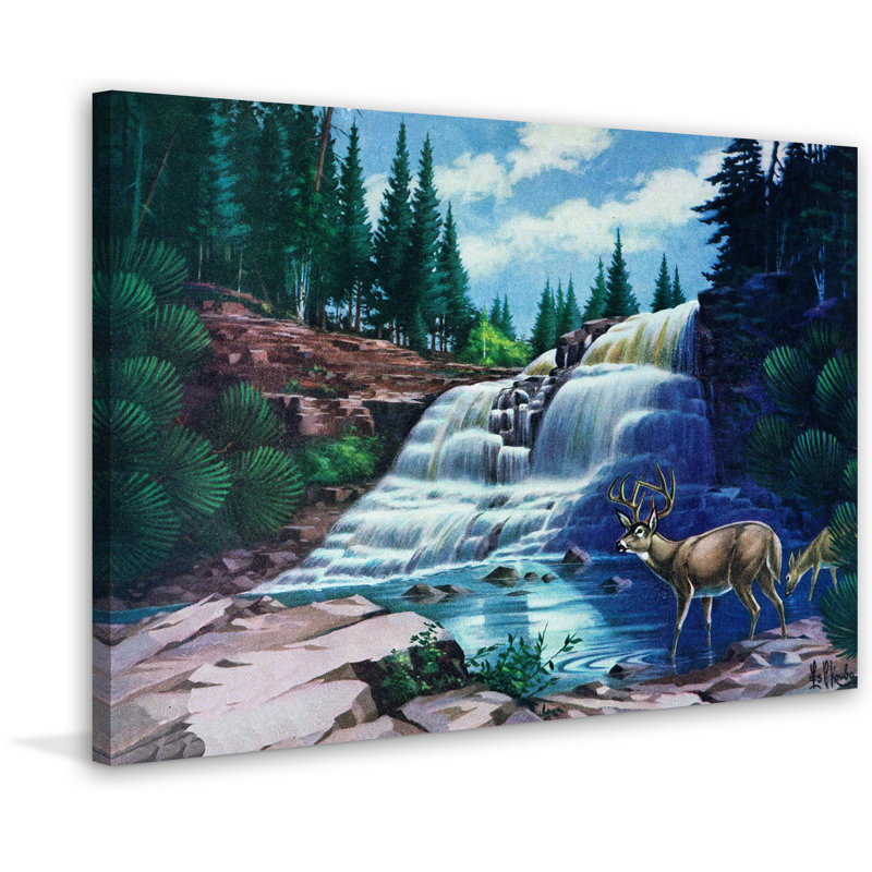 « gooseberry chutes », reproduction d’art sur toile tendue, H 30 po x l 45 po x P 1,5 po