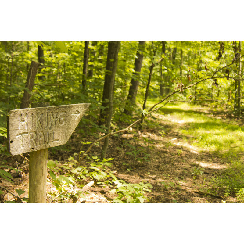 Hiking Trail by Melg-photography - Wrapped Canvas Print, 51cm H x 76cm W