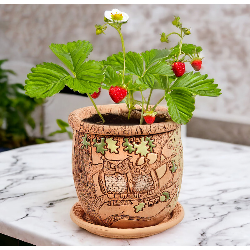 Pot à fleurs en céramique avec trou de drainage et soucoupe Annalyia Owls