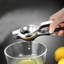 Presse-citron en acier inoxydable avec presse-agrumes manuel et presse-agrumes manuel