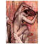 Edgar Degas - Wrapped Canvas Painting