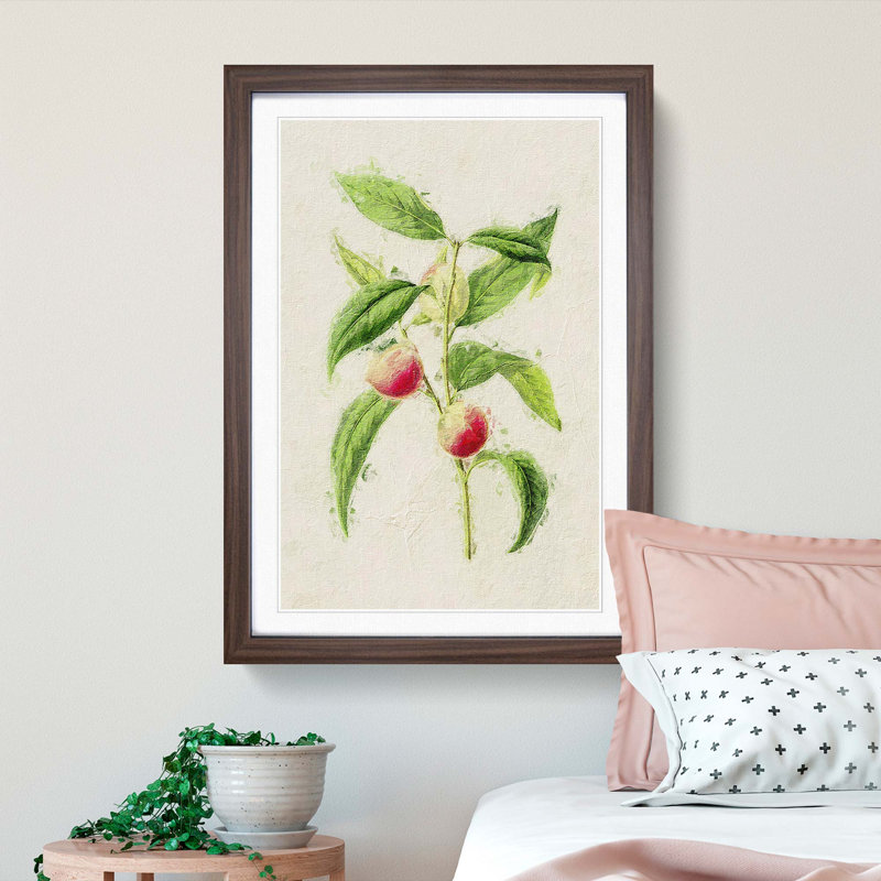 Illustration of Peaches - Picture Frame Painting Print, Walnut Framed, 65cm H x 48cm W x 2cm D