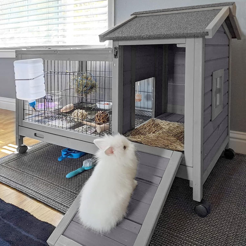 Weather Resistant Rabbit Hutch