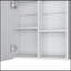 Medicine Cabinet 21.1" H, 1 Door, 4 Shelves, 1 Mirror, White-457655698