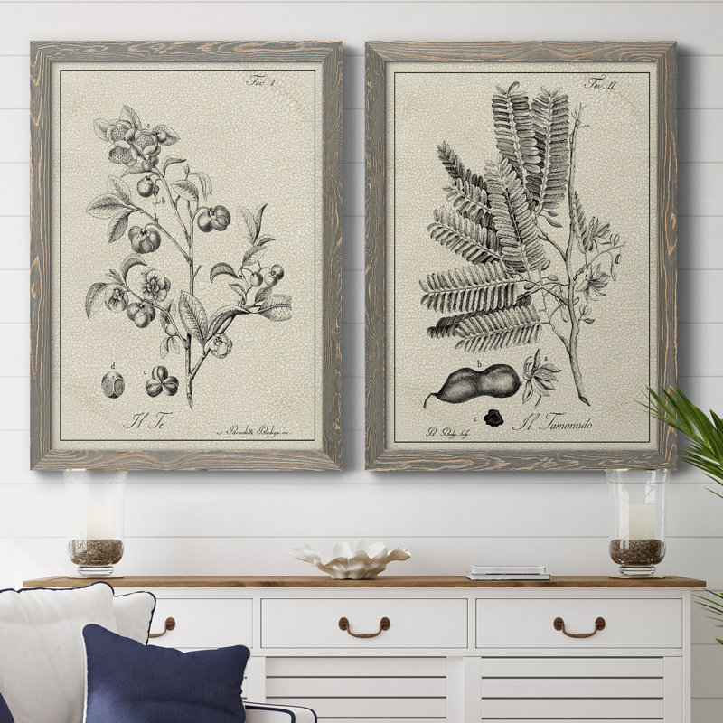 «Antique Black and White Botanical IV», ensemble de 2 reproductions d'art sur toile, H 43,5 po x l 63 po x P 1 po