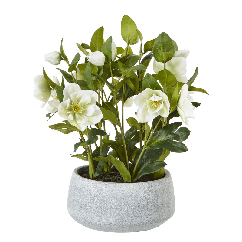 41cm Faux Plant in Pot, Grey, White