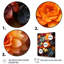 Reproduction d'art sur toile, "Succulents colorés" par Kolleos-895296098-895296111