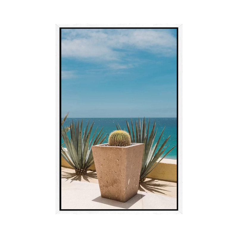 Cabo Cactus by Bethany Young - Print on Canvas, White Framed, 66.04cm H x 45.72cm W x 3.81cm D