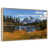 Floating Frame Natural Wood