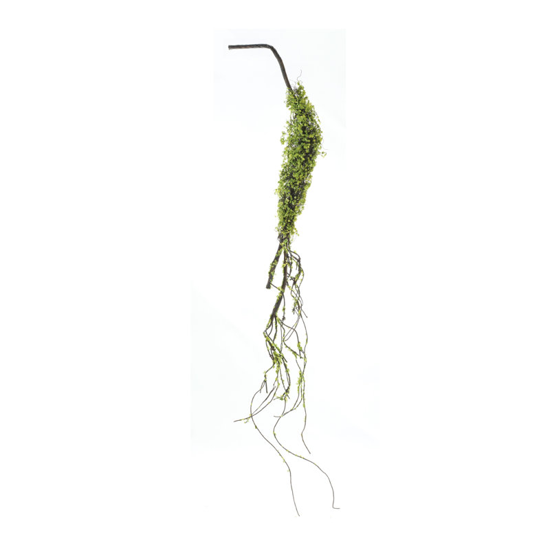 Mousse à feuillage de vigne (ensemble de 2)