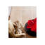Solid Wood 90 cm W Chest of 5 Drawers