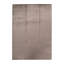 Area Rug in Tan
