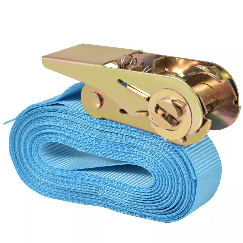 VidaXL Ratchet Tie Down Straps 4 pcs 0.8 Tonnes 6mx25mm Blue