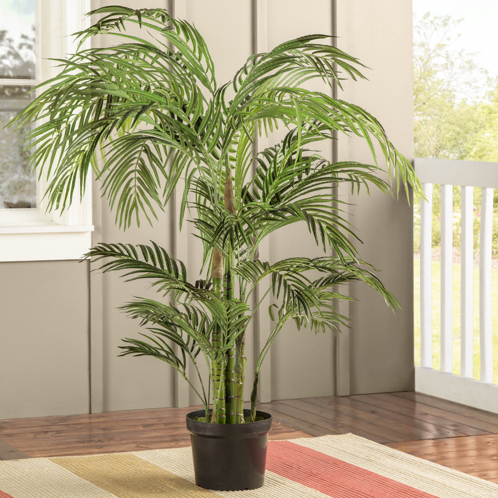Sommer Areca Palm Tree in Pot, 54" H x 46" W x 42" D