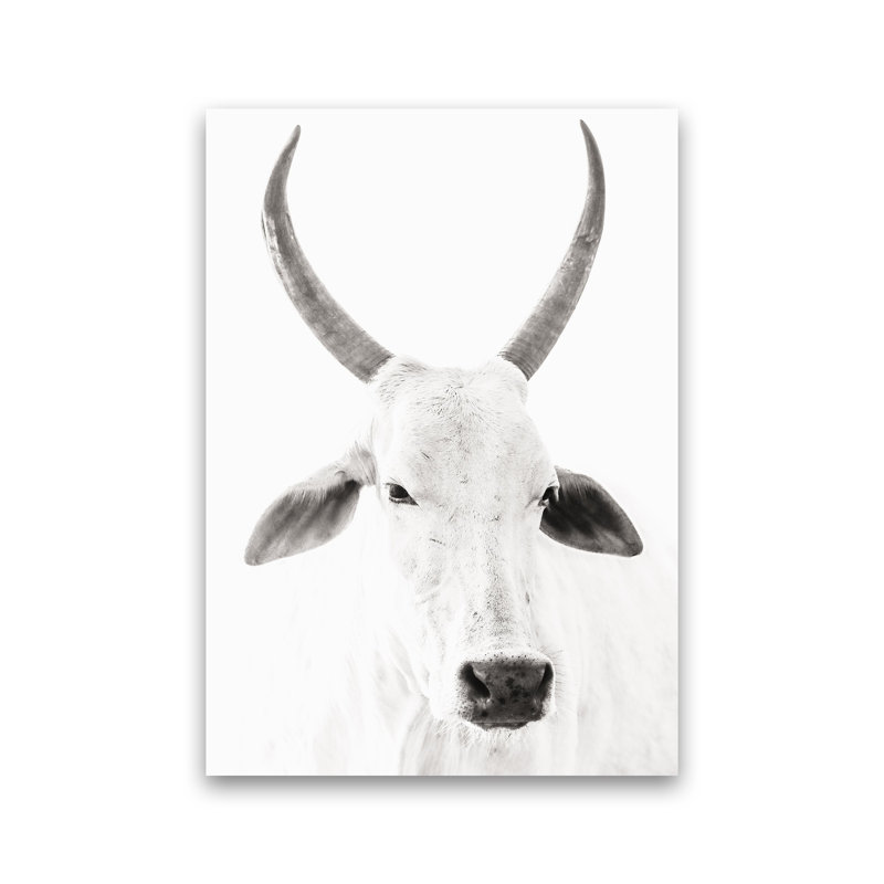 White Cow I by Victoria Frost - Single Picture Frame Print, Unframed, 42cm H x 30cm W x 1cm D