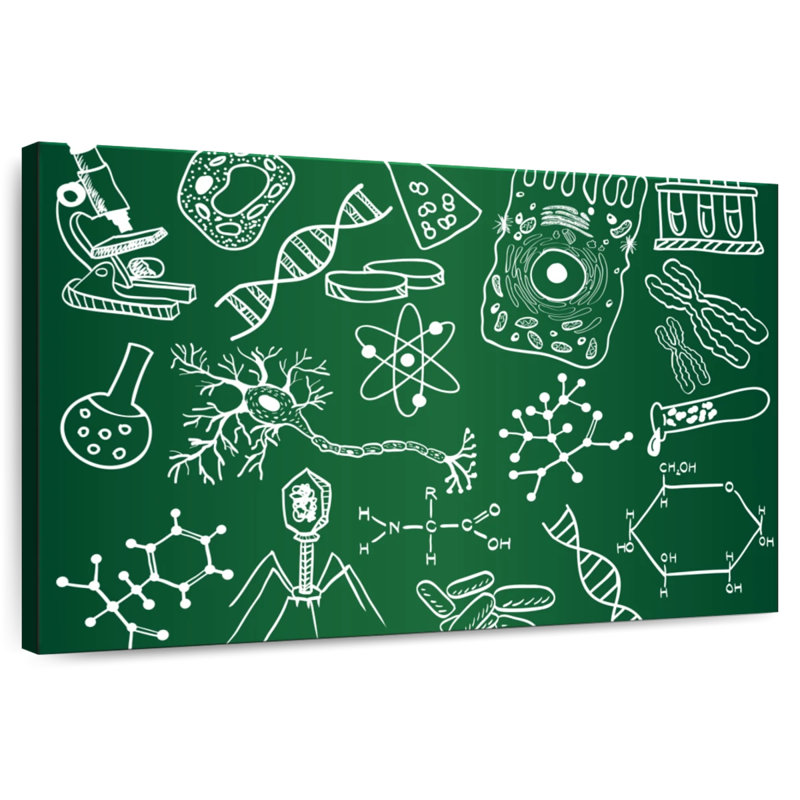 Keiri Chalkboard Science Doodle, 20" H x 30" W