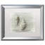 « two cancellara shells », reproduction de photo sur toile encadrée-32709778-32709783